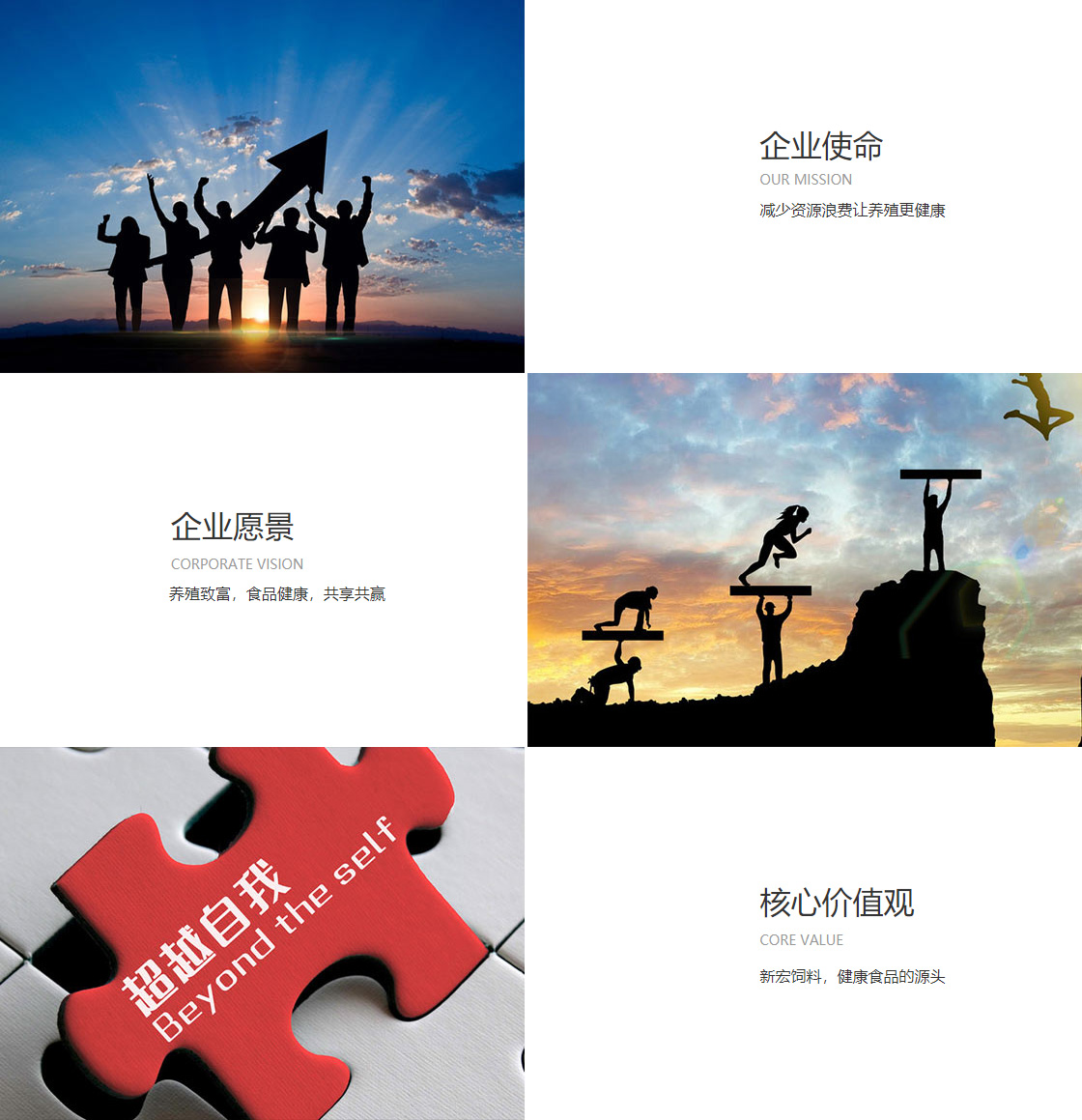 球速体育网页版登录入口(图1)